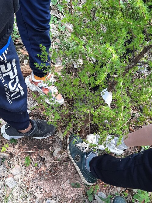 photo_7_2023-05-23_22-19-02